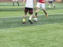 利物浦中场,稳步招募,麦卡利斯特,好博体育app下载,好博体育官网,好博体育官方网站,好博体育平台