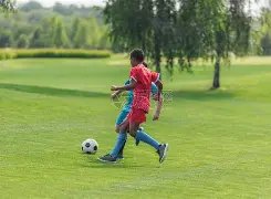 利物浦中场,稳步招募,麦卡利斯特,好博体育app下载,好博体育官网,好博体育官方网站,好博体育平台